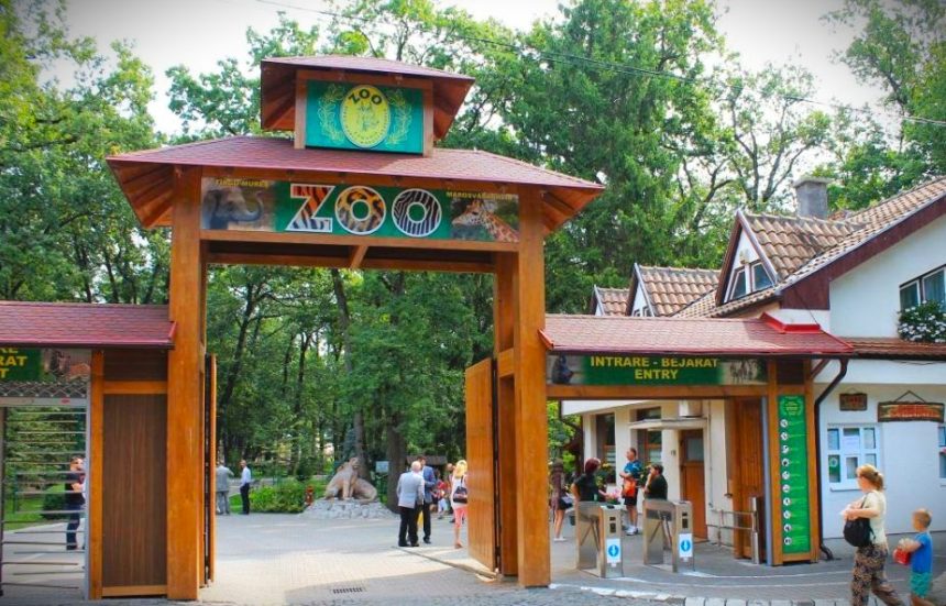 ANIVERSARE GRĂDINA ZOOLOGICĂ TÂRGU MUREȘ – 60 DE ANI: INTRARE GRATUITĂ ȘI PROGRAM PRELUNGIT