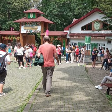 PĂDUREA LOPĂTARILOR, O NOUĂ ATRACȚIE LA ZOO TÂRGU MUREȘ