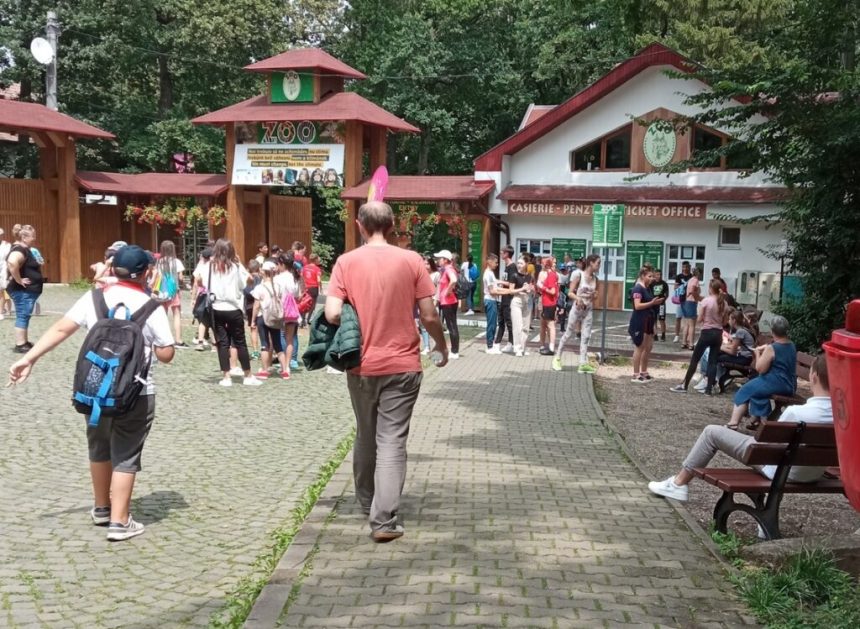 PĂDUREA LOPĂTARILOR, O NOUĂ ATRACȚIE LA ZOO TÂRGU MUREȘ